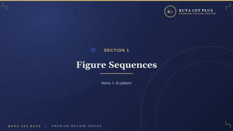 Slide 9