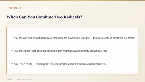 Slide 19