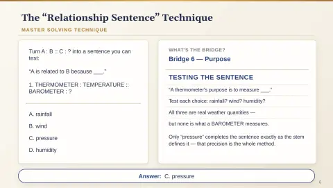 Slide 10