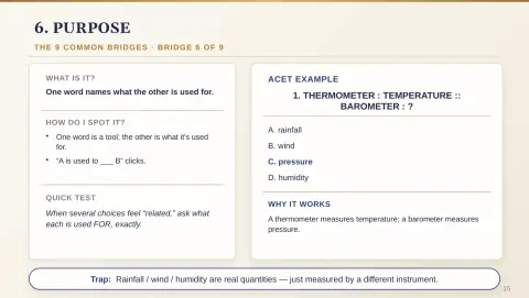 Slide 19