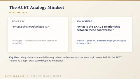 Slide 7