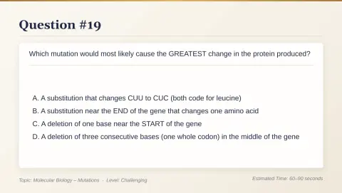 Slide 102