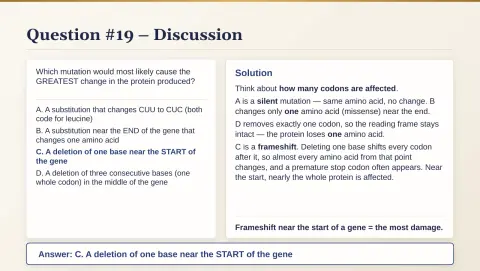 Slide 103