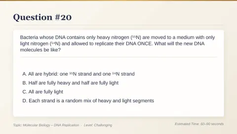 Slide 104