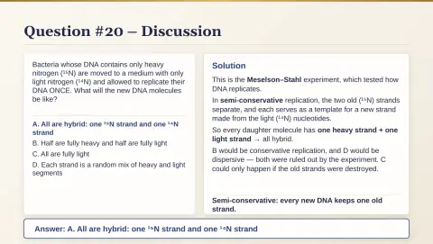 Slide 105