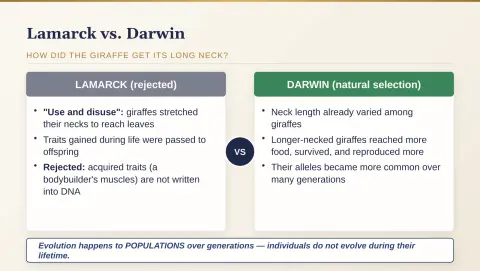Slide 106