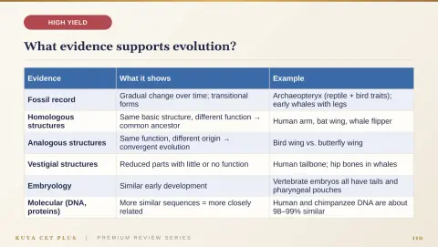 Slide 110