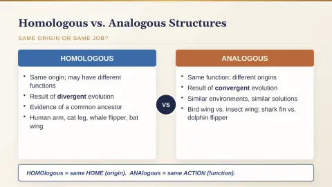 Slide 111