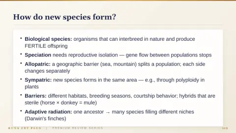 Slide 112