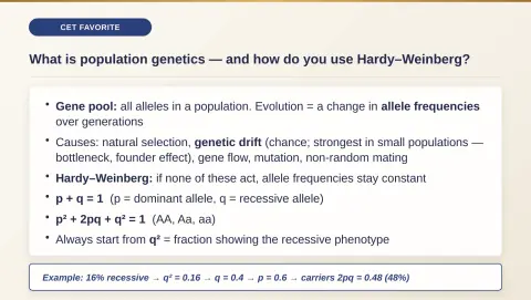 Slide 113