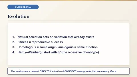 Slide 114
