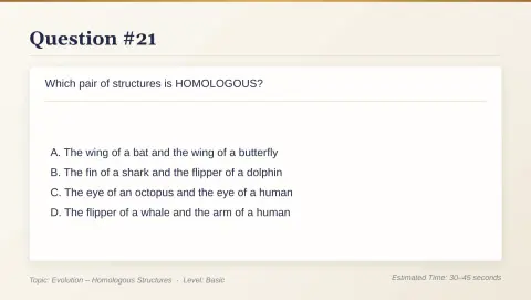 Slide 115