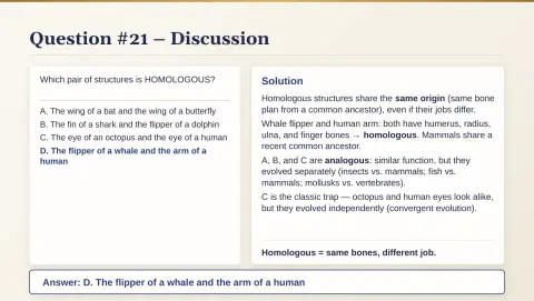 Slide 116