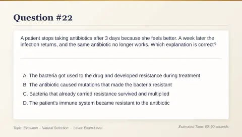 Slide 117