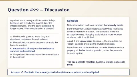 Slide 118