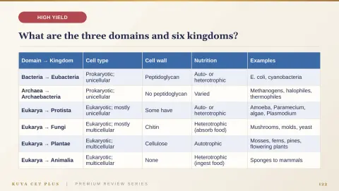 Slide 122