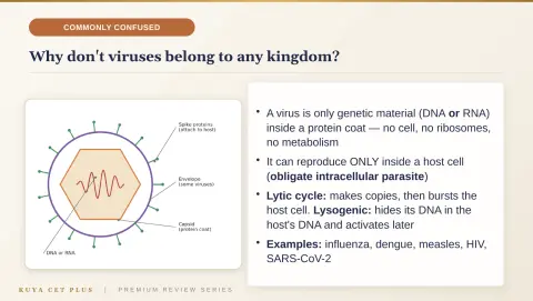 Slide 123