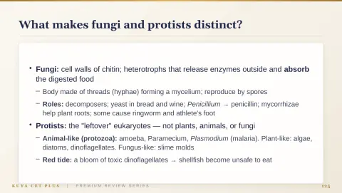 Slide 125