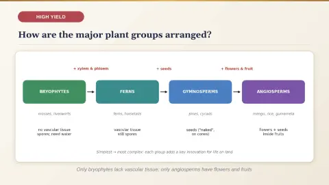 Slide 126