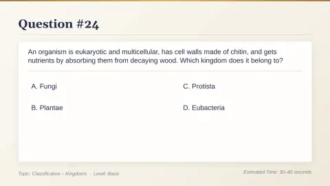 Slide 129