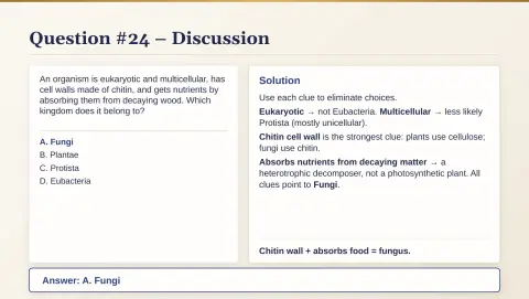Slide 130