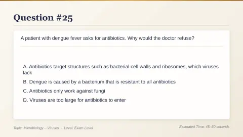 Slide 131