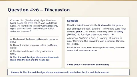 Slide 134