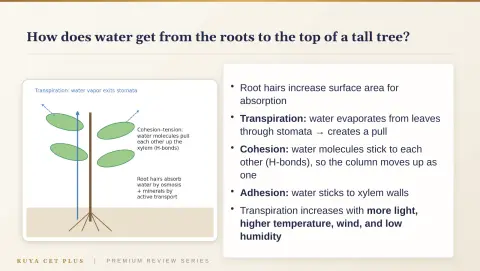 Slide 138
