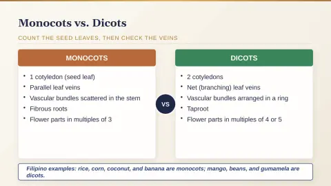 Slide 139