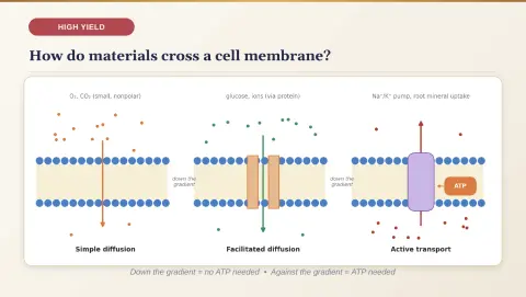 Slide 14