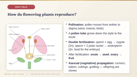 Slide 140