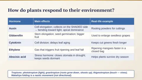 Slide 141