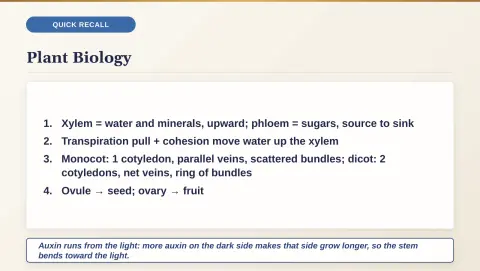 Slide 142