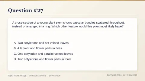 Slide 143