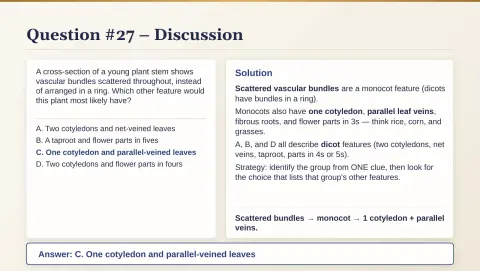 Slide 144