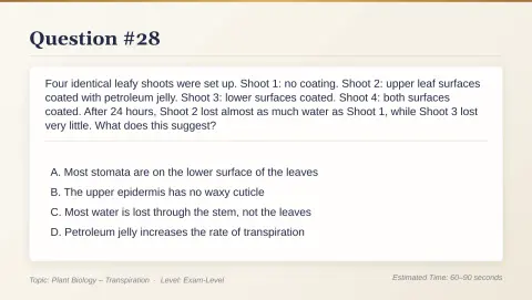 Slide 145