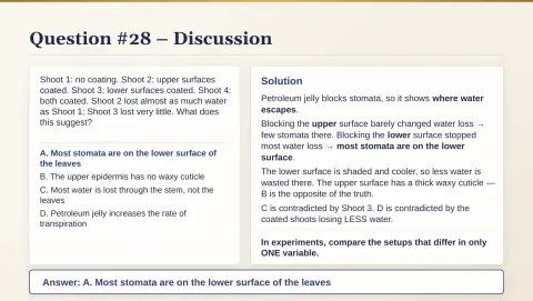 Slide 146