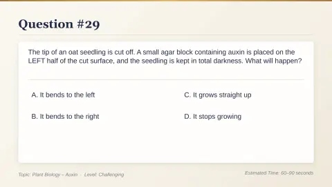 Slide 147