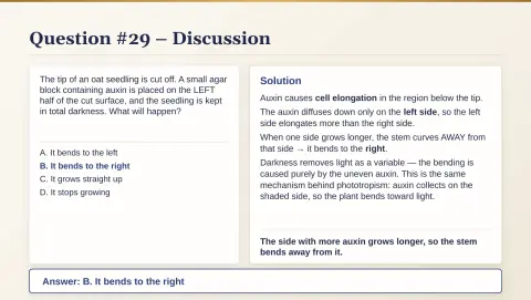 Slide 148