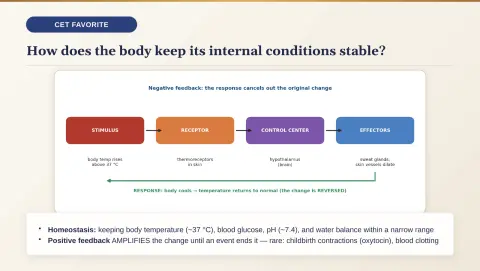 Slide 149