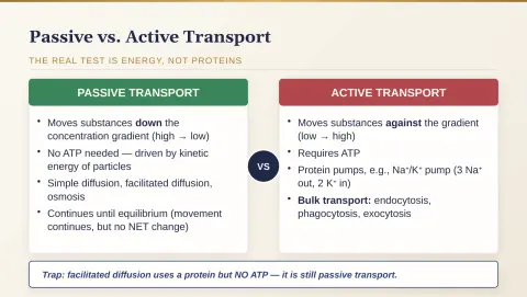 Slide 15