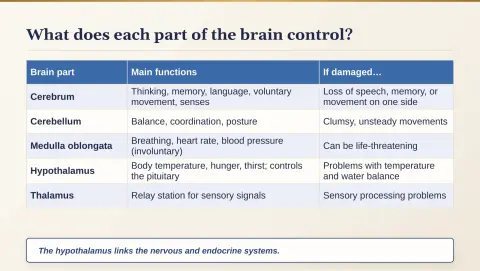 Slide 153