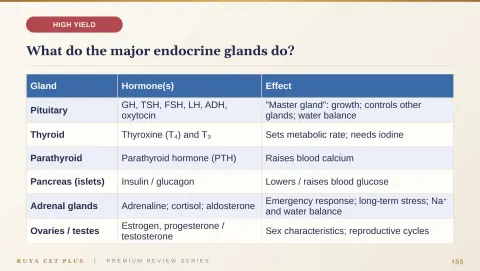 Slide 155