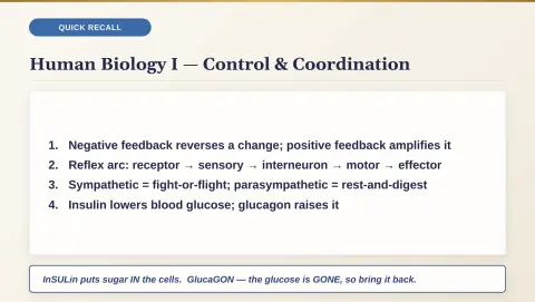 Slide 158