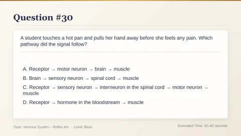 Slide 159