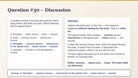 Slide 160