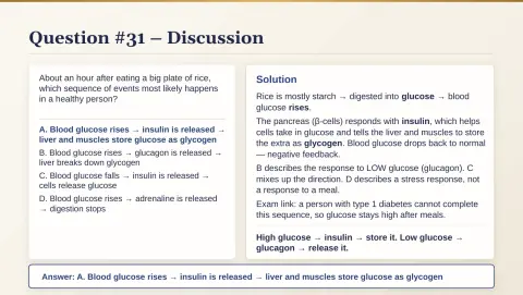 Slide 162