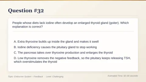 Slide 163
