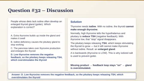 Slide 164