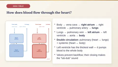 Slide 165